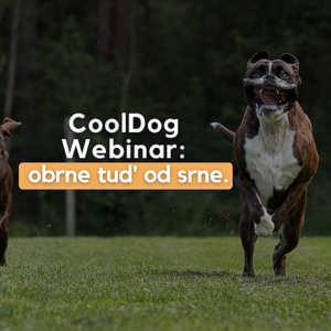 WEBINAR: Obrne tud’ od srne – webinar za učenje zanesljivega priklica
