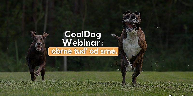 viTxOh1kRSWGgtWfozaH_CoolDog Webinar obrne tud- od srne.