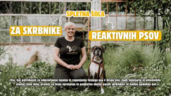 Spletna šola za skrbnike reaktivnih psov (obročno)