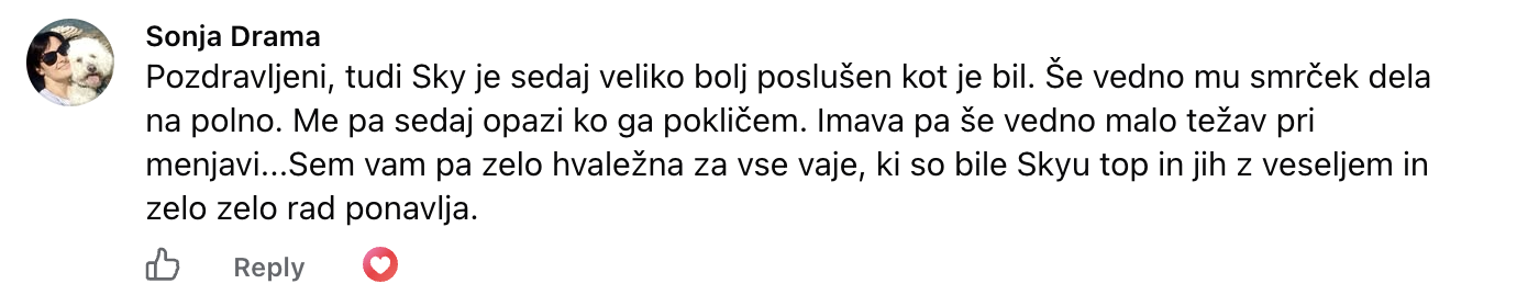 Mnenje — Sonja Drama