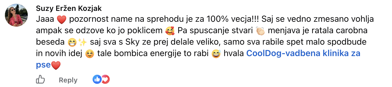 Mnenje — Suzy Eržen Kozjak