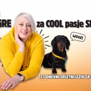 21 dnevni izziv - COOL igre