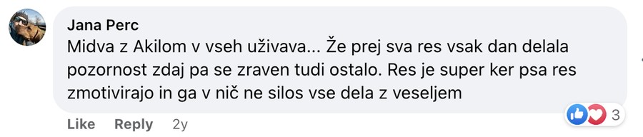 Mnenje Jane Perc