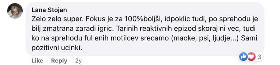 Mnenje Lane Stojan